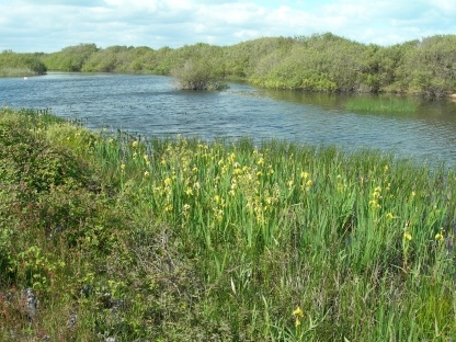 The ‘Long Pits’ have been awarded the Wildlife Trusts’ Biodiversity Benchmark