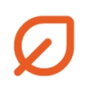 Orange leaf icon