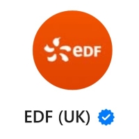 EDF logo and blue tick that appears at the top of EDF WhatsApp threads