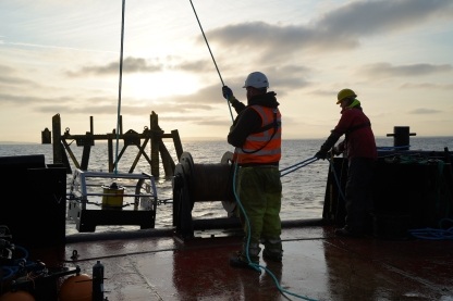 Hinkley Point C has more fish protection measures than any other power station. Trials of a new acoustic fish deterrent are underway. 