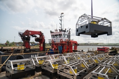With the deployment of an acoustic fish deterrent system, Hinkley Point C will have more fish protection measures than any other power station.