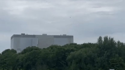 A peregrine falcon which fell from a nest, was mobbed by gulls and then rescued by Hinkley Point B workers, has flown to freedom
