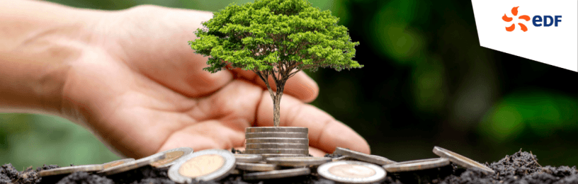 Corporate Power Purchase Agreement: positively impacts your business and the environment.