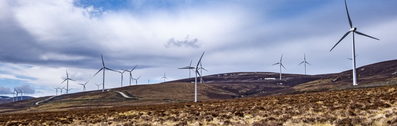 A wind farm