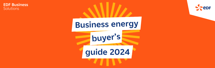 Business energy buyer's guide 2024