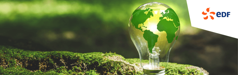 Lightbulb planet renewable energy