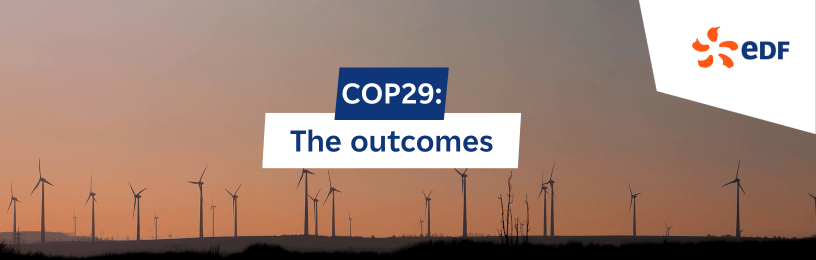 COP29 blog