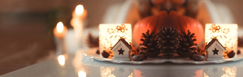 Christmas display with lights and fur cones