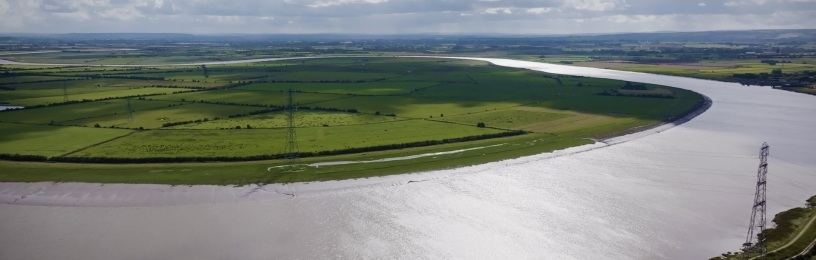 The proposed saltmarsh wildlife and biodiversity