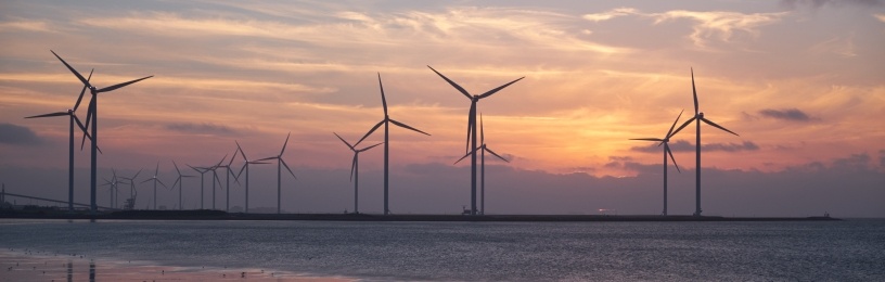 Wind farm at dawn