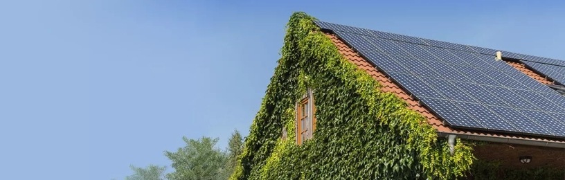 House covered in ivy and solar panels