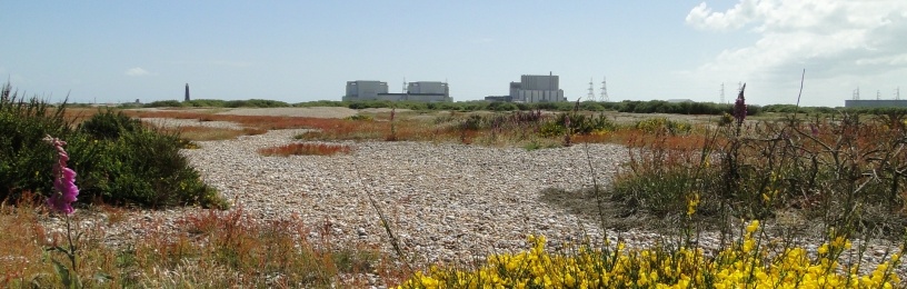 Dungeness B nuclear power station in Kent