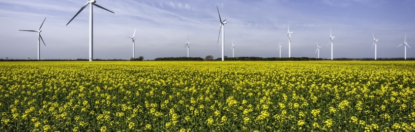 Wind farm showing wind turbines
