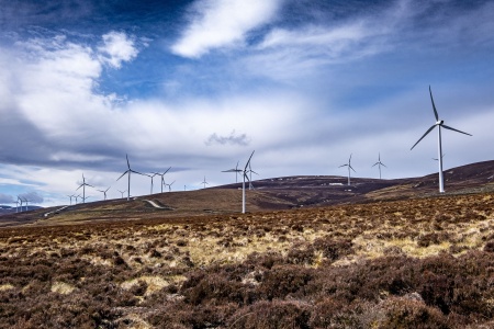 A wind farm