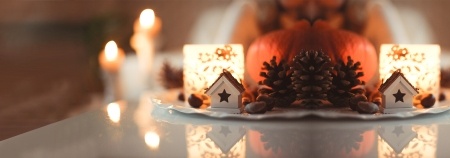 Christmas display with lights and fur cones