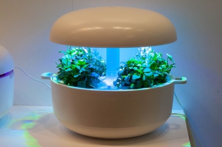 Smart garden on desk