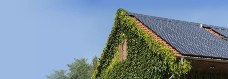 House covered in ivy and solar panels