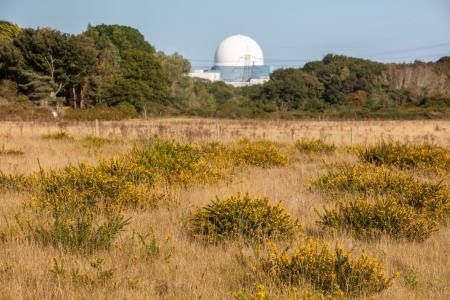 Sizewell B taken from studio field on the Sizewell estate