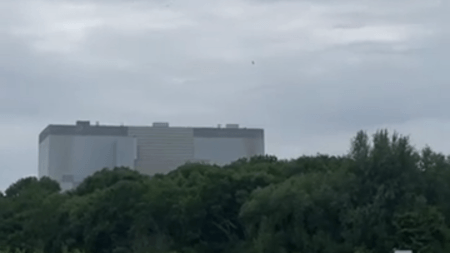 A peregrine falcon which fell from a nest, was mobbed by gulls and then rescued by Hinkley Point B workers, has flown to freedom