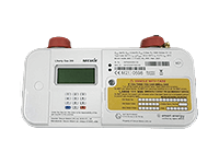 Secure gas smart meter