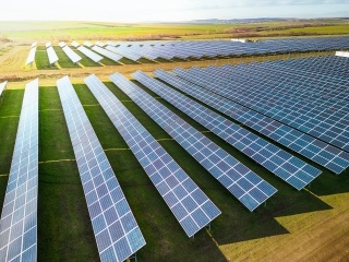 solar panel farm