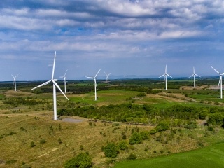 A wind farm