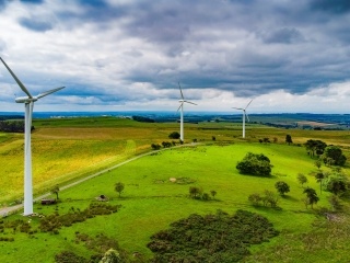 A wind farm