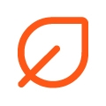 Orange leaf icon