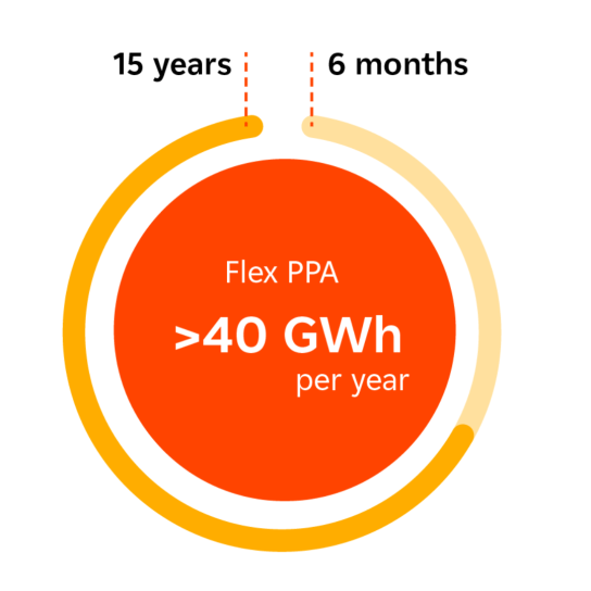 flex ppa criteria
