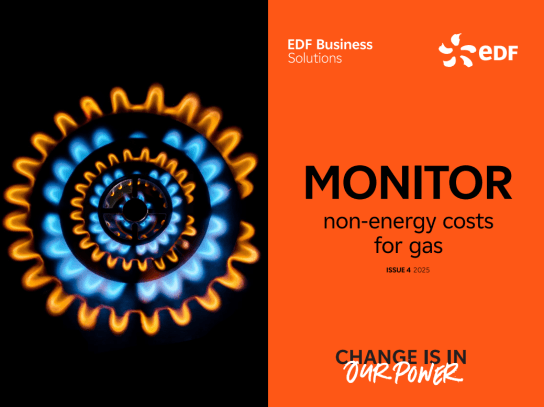 Monitor for Gas report image