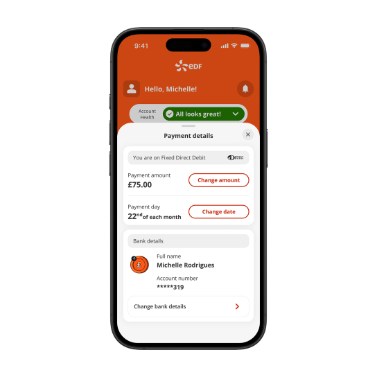 Screen showing new Payment Details screen