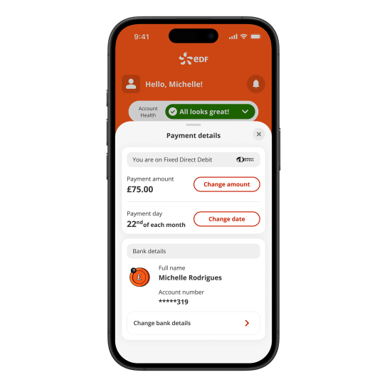Screen showing new Payment Details screen