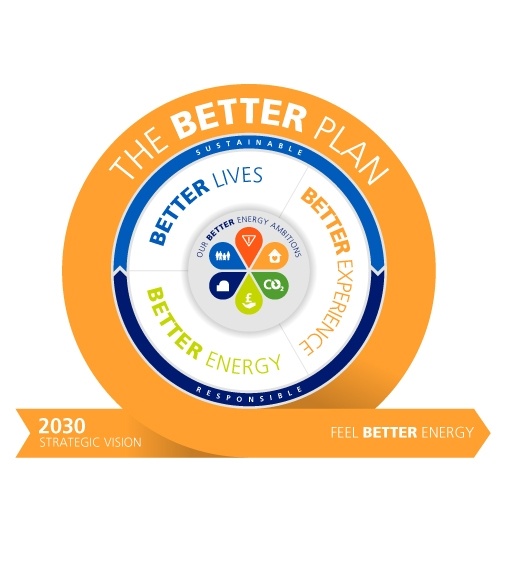 THE BETTER PLAN stick of rock