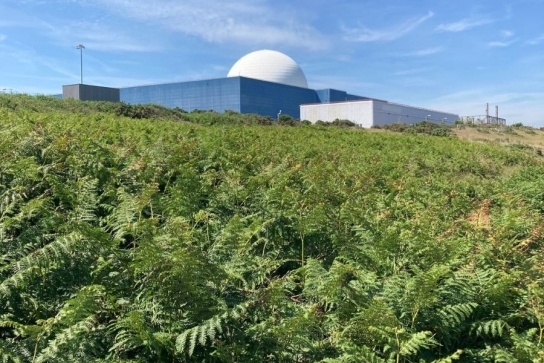 Sizewell B from a distance