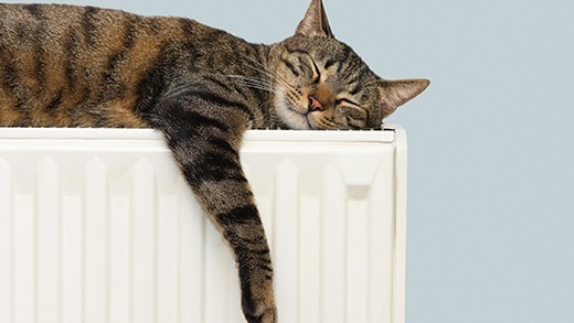 Discover our range of boiler and heating cover - Cat asleep on a radiator