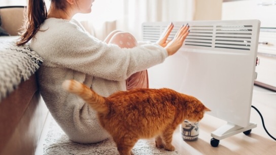 lady and cat getting warm with an electric heater