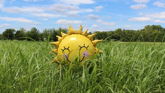 Smiling sunshine balloon in the middle of an idyllic field