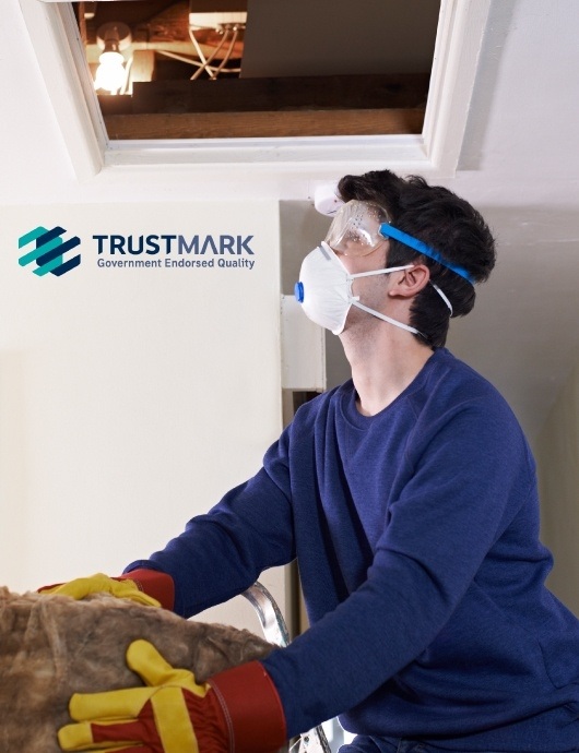 TrustMark accredited loft insulation installer climbing ladder