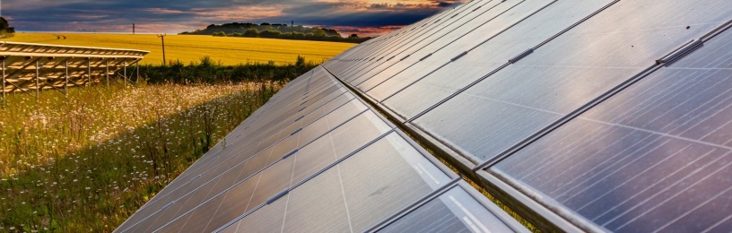 EDF Renewables is seeking academic partners to deliver a programme of ecological research to understand the environmental benefits of solar farms. 