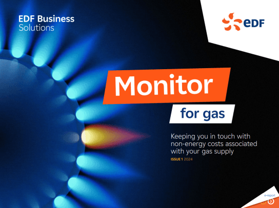 Monitor for gas